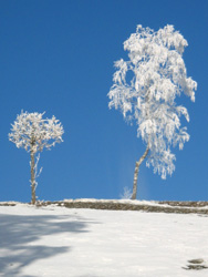 Fotogalerie Landschaften
